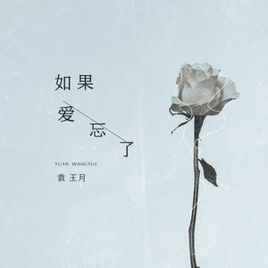 管理高端小鲤导航
