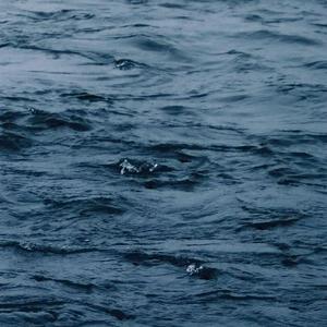 管理高端小鲤导航
