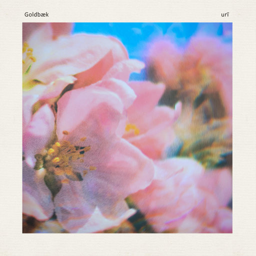 管理高端小鲤导航
